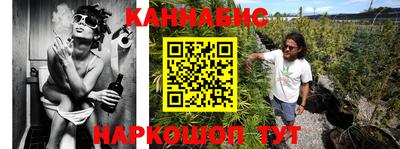шишки Партизанск
